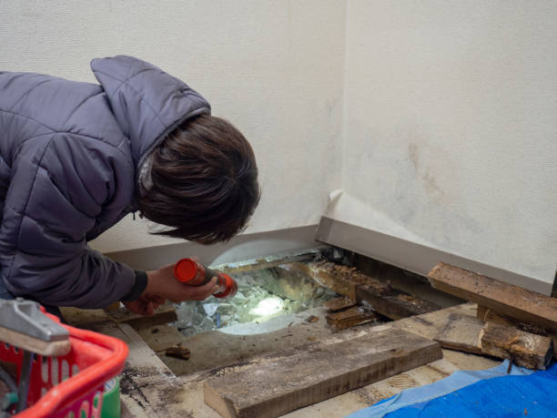 Best Air Quality Testing for Mold Spores  in Spencer, IN