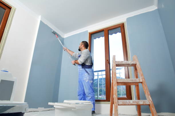 Reliable Spencer, IN Mold Removal Solutions