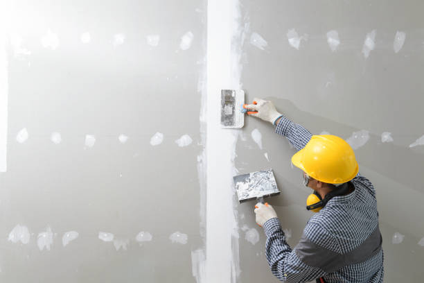 Best Mold Remediation for Healthcare Facilities  in Spencer, IN
